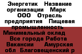 Энергетик › Название организации ­ Марк 4, ООО › Отрасль предприятия ­ Пищевая промышленность › Минимальный оклад ­ 1 - Все города Работа » Вакансии   . Амурская обл.,Благовещенский р-н